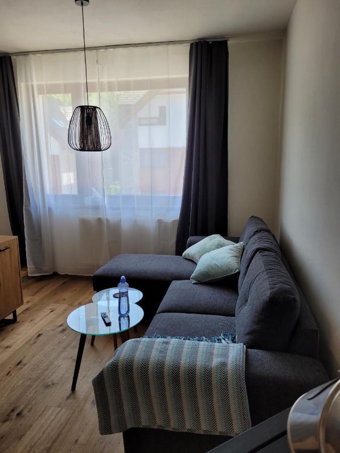 Artur Apartment Myto Мито-под-Дюмб'єром Екстер'єр фото